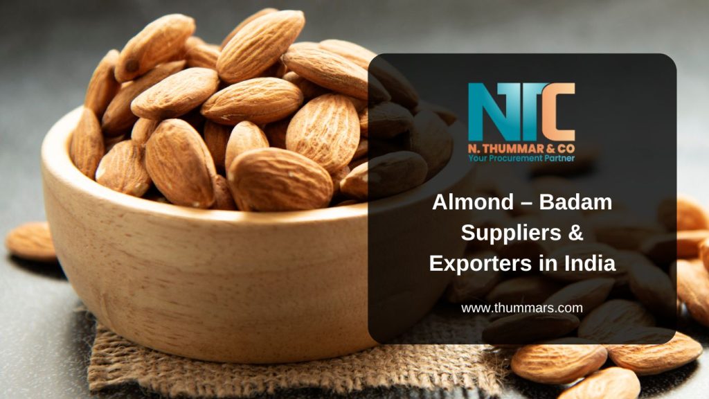 Almond – Badam Suppliers & Exporters in India