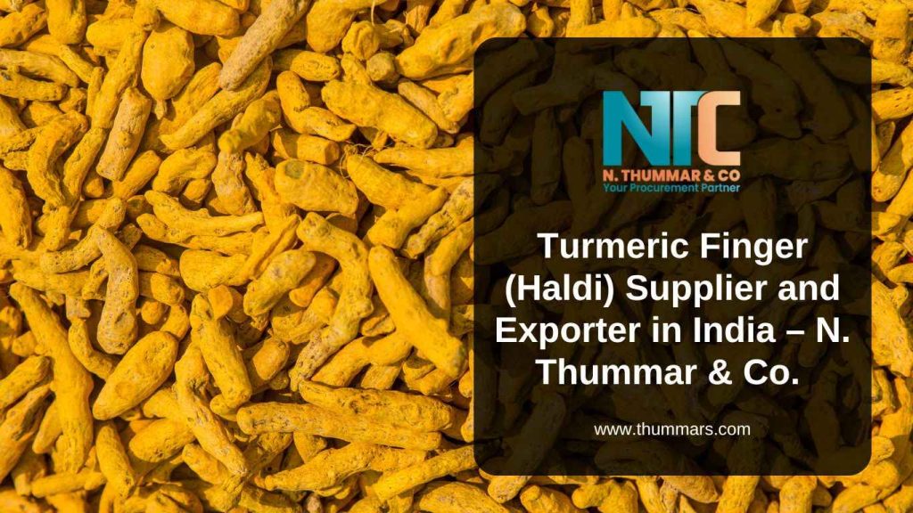 Turmeric Finger (Haldi) Supplier and Exporter in India – N. Thummar & Co.